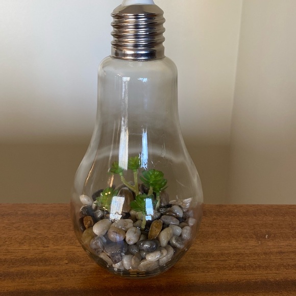 Imitation plant in light Bulb Press top for light  Takes a 3v bulb - Picture 1 of 10